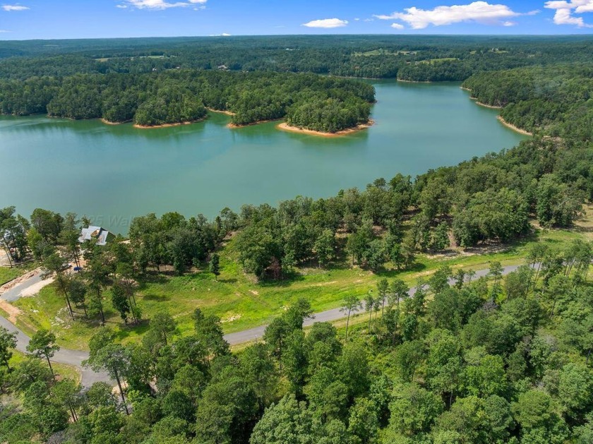 Slick Ford is one of the newest developments on Smith Lake - photo 5