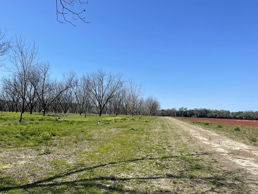 Transitional Tract. The property is currently used as a - photo 13