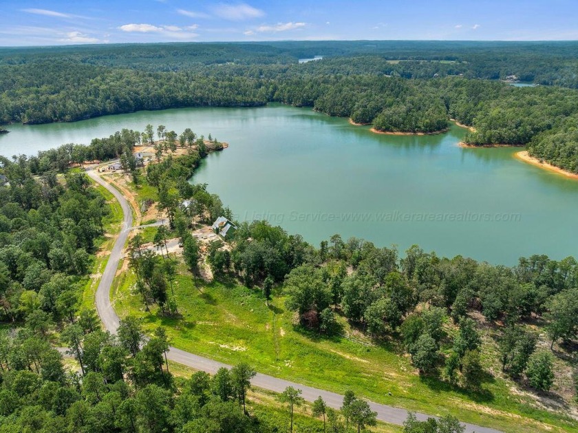 Slick Ford is one of the newest developments on Smith Lake - photo 4