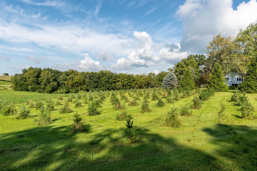 Nestled in Verona and on the outskirts of Mt. Horeb you have - photo 14