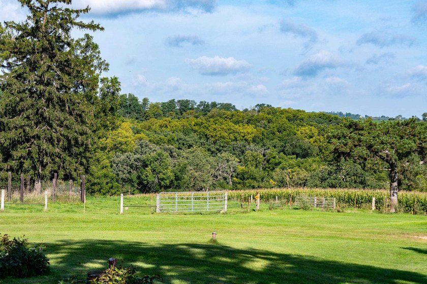 Nestled in Verona and on the outskirts of Mt. Horeb you have - photo 20