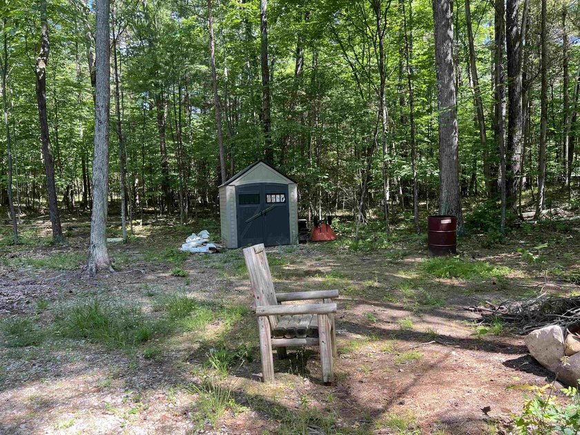 New in 2023 is this Adirondack camp located at 33 Dogwood Street - photo 3
