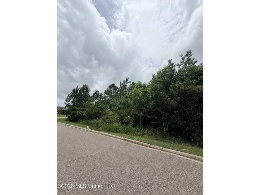A spacious 0.83 acres residential homesite nestled within a well - photo 7