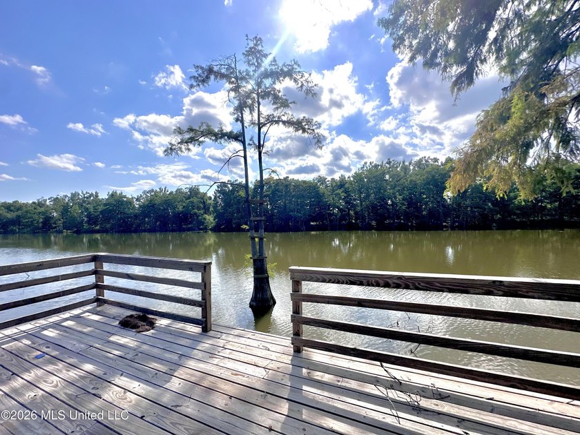 Welcome to Wolf Lake living at its finest! Conveniently located - photo 24
