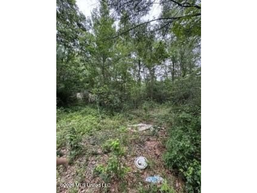 2.1 acres of Prime Location Property minutes from Local shopping - photo 4