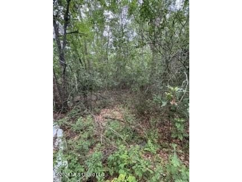 2.1 acres of Prime Location Property minutes from Local shopping - photo 5