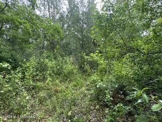 2.1 acres of Prime Location Property minutes from Local shopping - photo 6