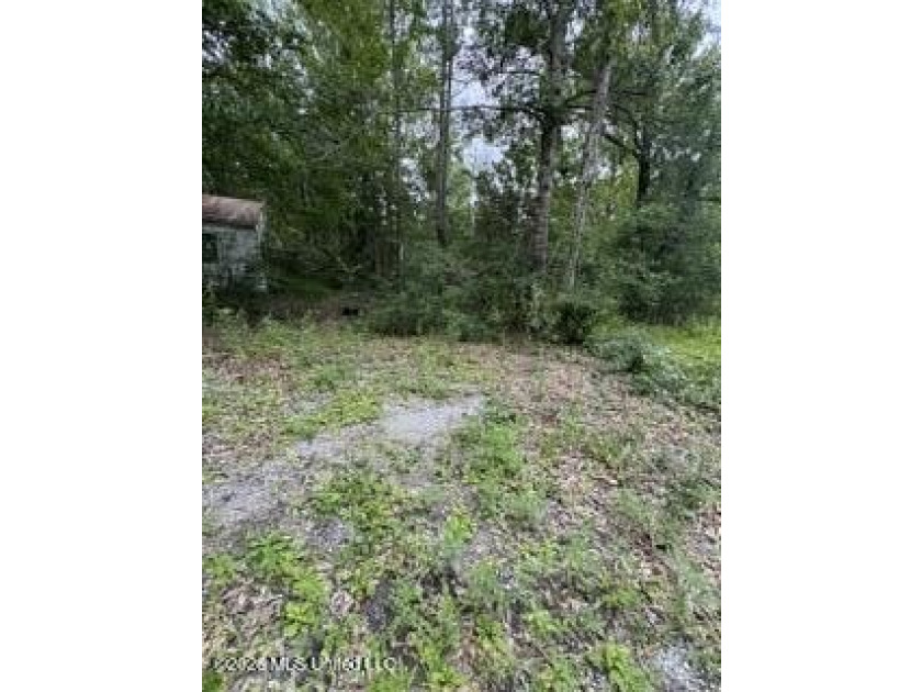 2.1 acres of Prime Location Property minutes from Local shopping - photo 8