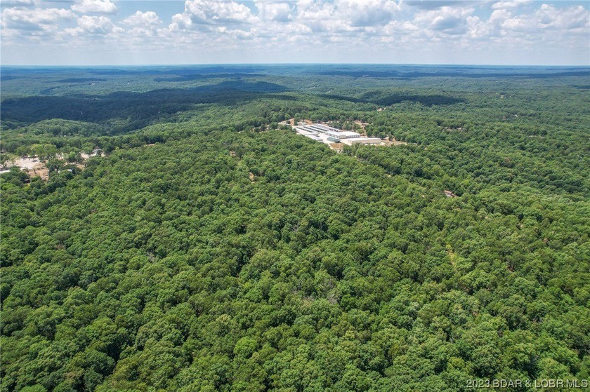 3 Acre tract with 156ft of Hwy 135 frontage. Lot lays very well - photo 24