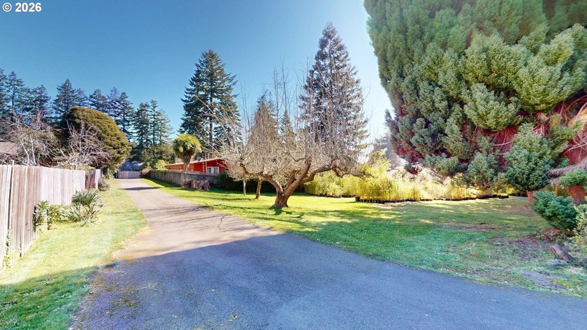 Beautiful Classic Ranch on 1.09 Private Acres - Timeless - photo 30