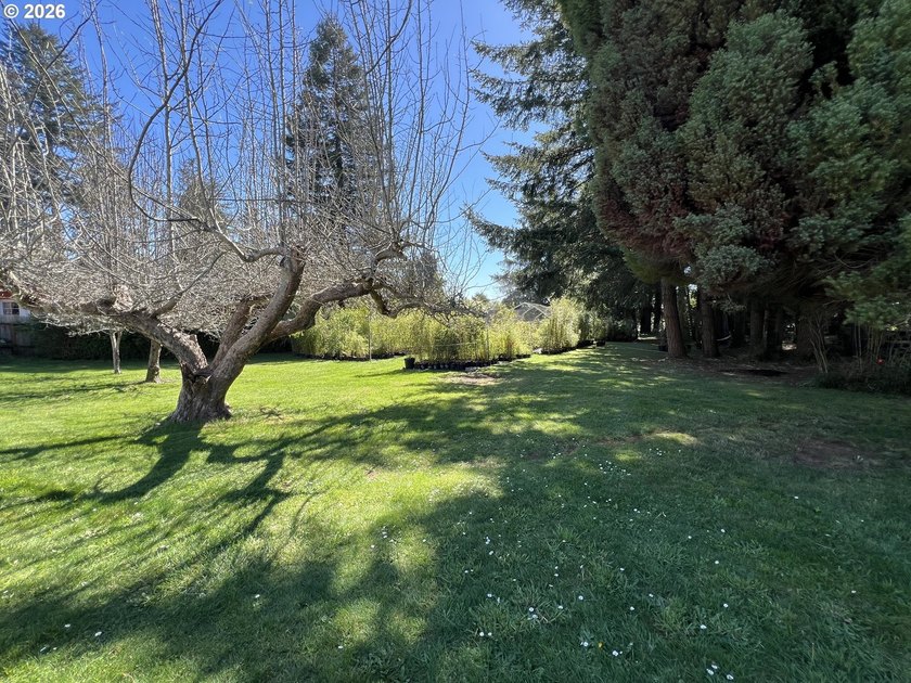 Beautiful Classic Ranch on 1.09 Private Acres - Timeless - photo 33