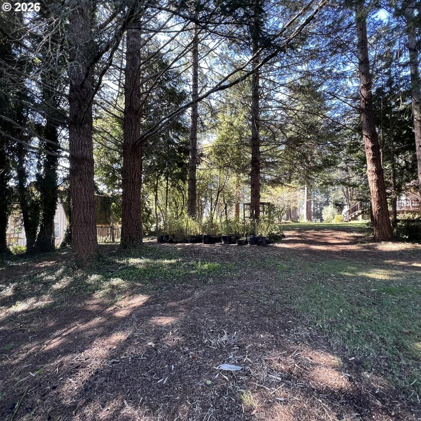 Beautiful Classic Ranch on 1.09 Private Acres - Timeless - photo 39