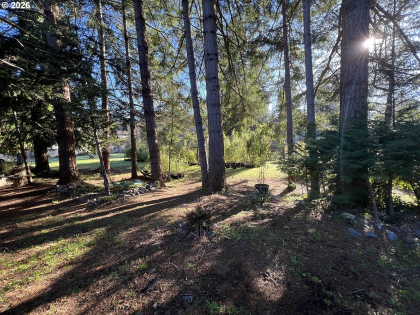 Beautiful Classic Ranch on 1.09 Private Acres - Timeless - photo 40