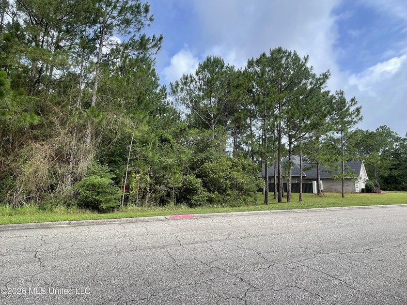 Looking for a beautiful golf community? Well you have found it - photo 9