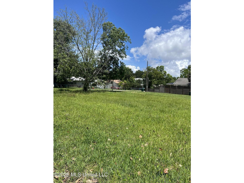 GREAT HOME SITE-FLAT,WALK TO DOWNTOWN,JUST CLOSE ENOUGH-WHERE - photo 3
