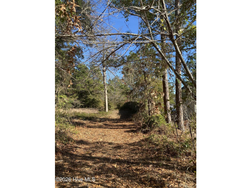 Great building opportunity. Over 1 acre of land with a clearing - photo 3