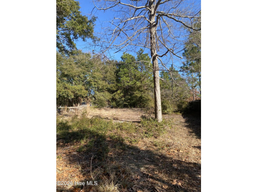 Great building opportunity. Over 1 acre of land with a clearing - photo 4