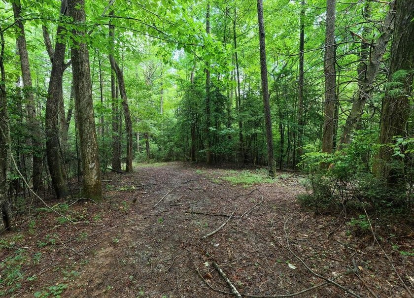 Opportunity meets natural beauty on this stunning 17.4-acre - photo 24