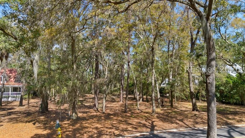 Experience refined Lowcountry living in this stunning new - photo 12