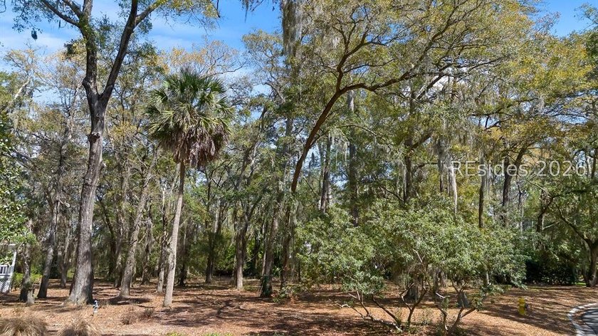 Experience refined Lowcountry living in this stunning new - photo 19