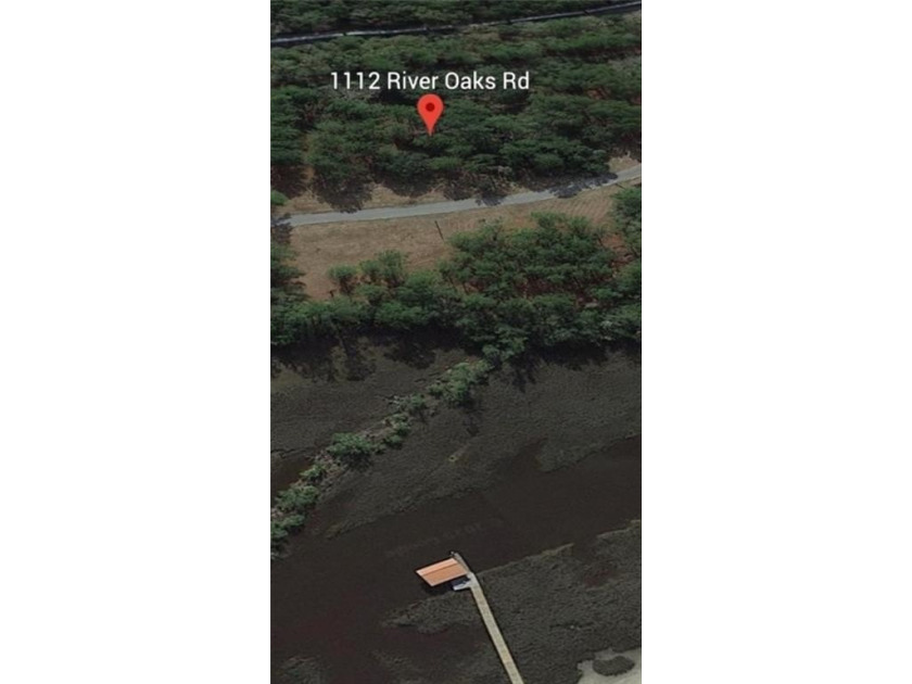 Coastal Gem - Vacant Undeveloped Lot with Southern Charm - photo 3