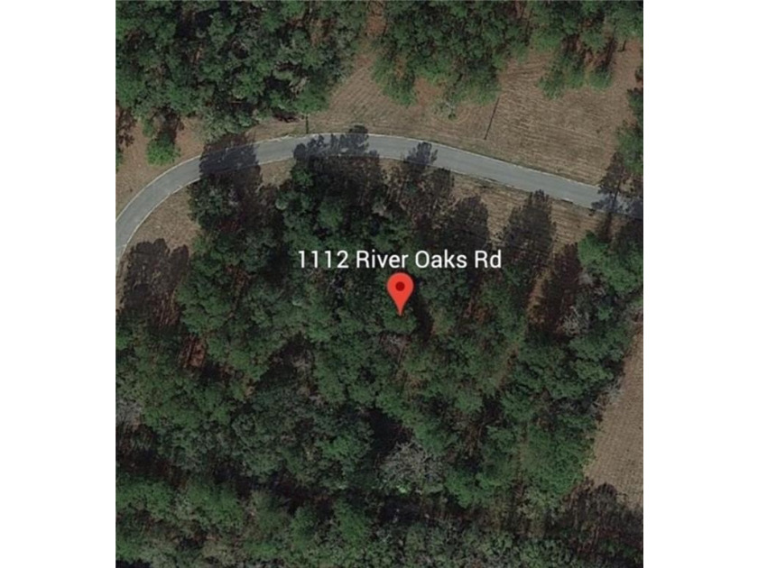 Coastal Gem - Vacant Undeveloped Lot with Southern Charm - photo 4