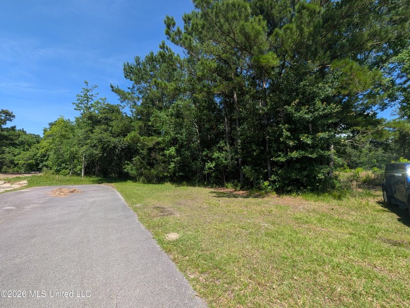 Calling all Aviators - This wonderful corner lot offers 112+/- - photo 10