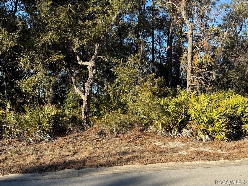 Here is a great building lot for your new single family home - photo 2