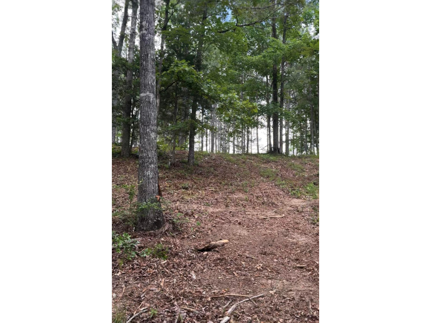 MOTIVATED SELLER! If you are looking for a great lot with a - photo 3