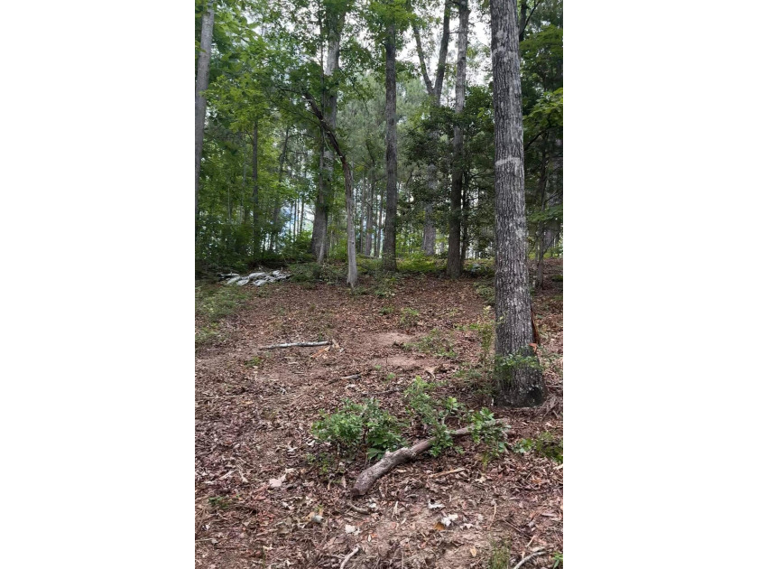 MOTIVATED SELLER! If you are looking for a great lot with a - photo 4