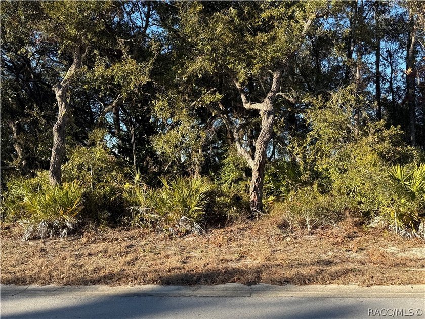 Here is a great building lot for your new single family home - photo 5