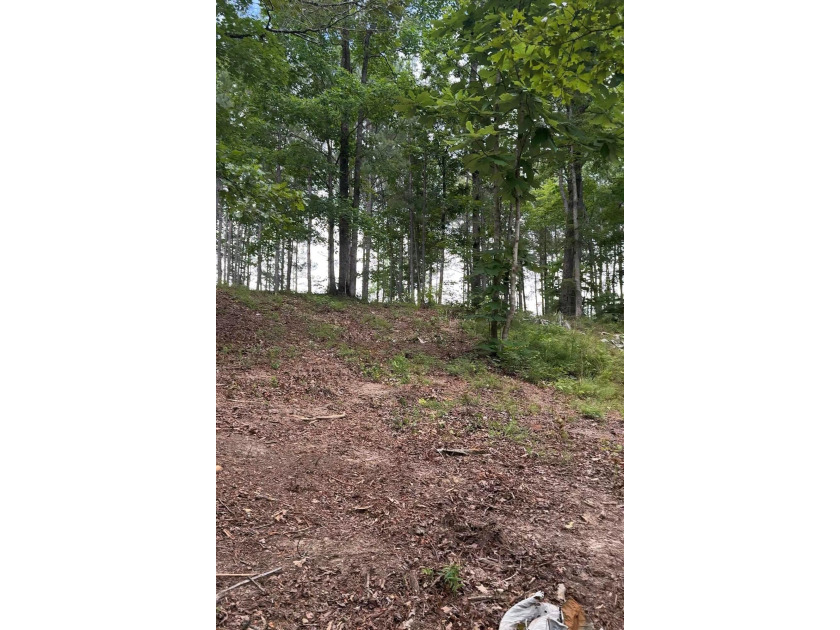 MOTIVATED SELLER! If you are looking for a great lot with a - photo 5