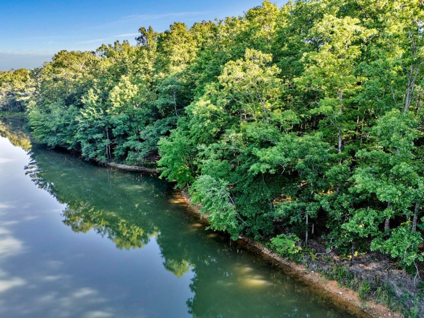 MOTIVATED SELLER! If you are looking for a great lot with a - photo 7
