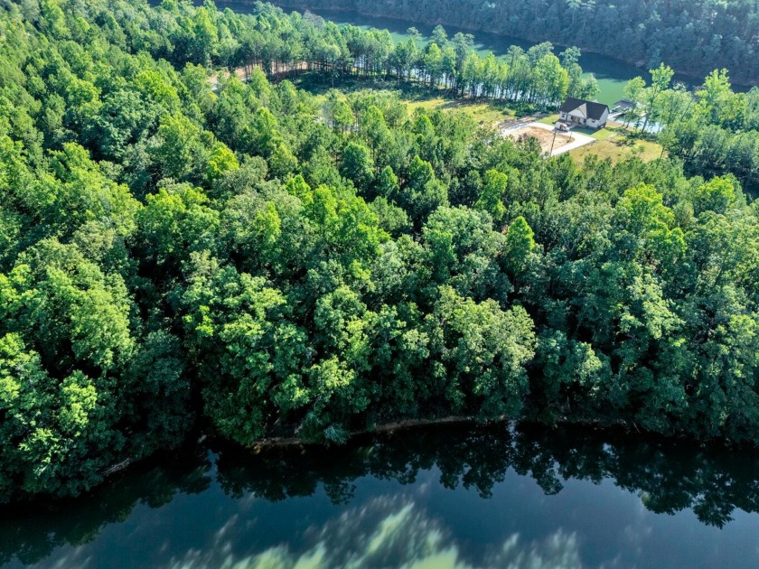 MOTIVATED SELLER! If you are looking for a great lot with a - photo 8