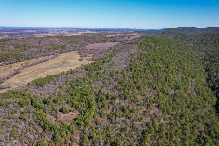 If you have been in the market for an awesome hunting property - photo 5