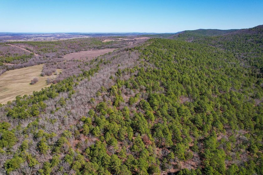 If you have been in the market for an awesome hunting property - photo 8