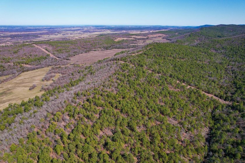 If you have been in the market for an awesome hunting property - photo 9