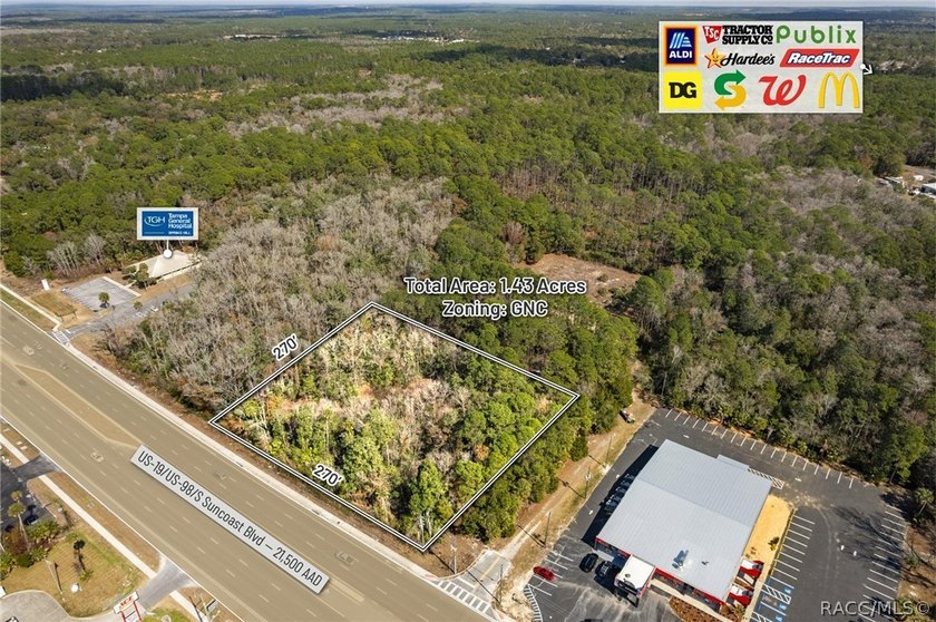 Positioned directly on US Hwy 19/98 in the heart of Homosassa - photo 5