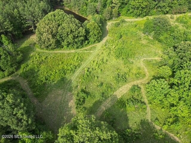 Welcome to this beautiful 52-acre property located in Slayden - photo 4