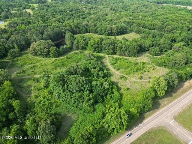 Welcome to this beautiful 52-acre property located in Slayden - photo 5