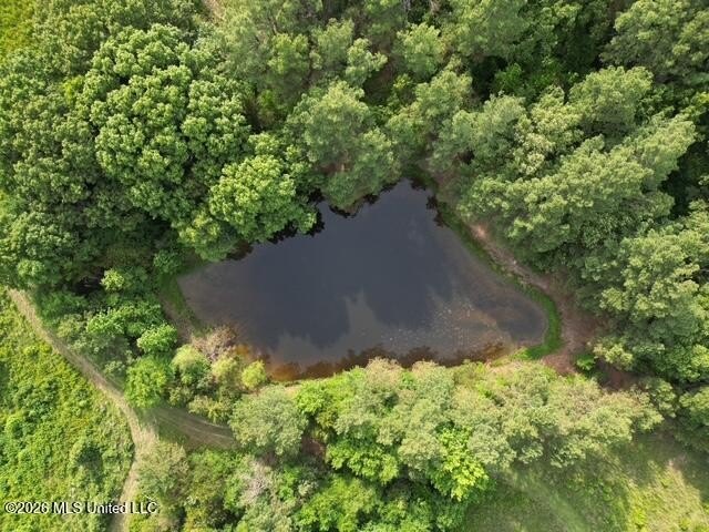 Welcome to this beautiful 52-acre property located in Slayden - photo 7