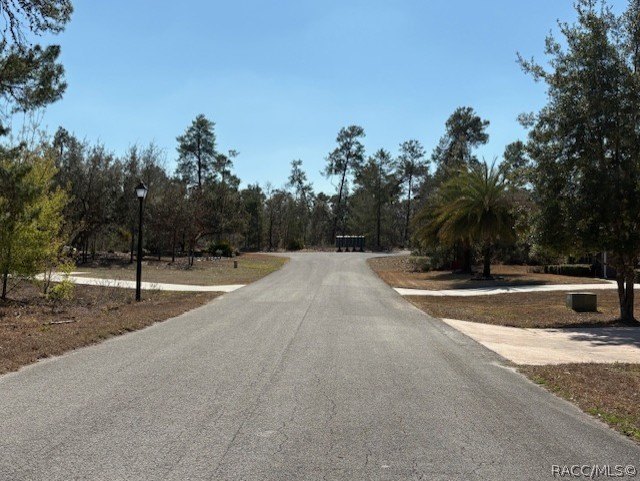 Located in the deed restricted community of Sugarmill Woods - - photo 4