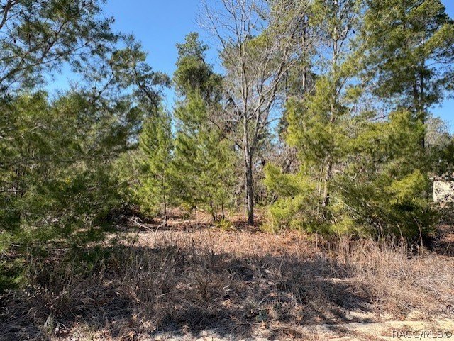 Located in the deed restricted community of Sugarmill Woods - - photo 5