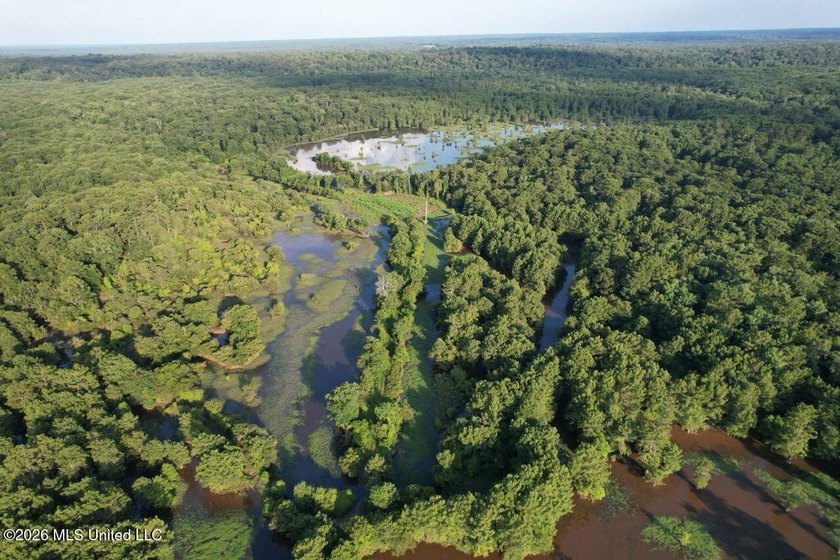 Welcome to Becks Bay Hunting Club, an exceptional opportunity to - photo 20