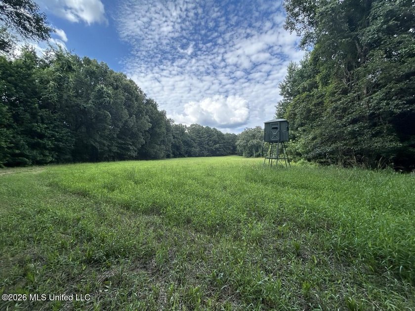 Welcome to Becks Bay Hunting Club, an exceptional opportunity to - photo 38