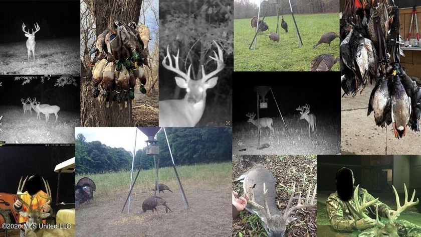 Welcome to Becks Bay Hunting Club, an exceptional opportunity to - photo 47