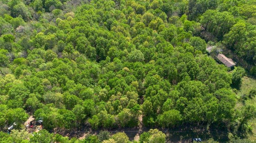10.07 Acres at Lake O' the Pines | No Restrictions! Looking for - photo 3
