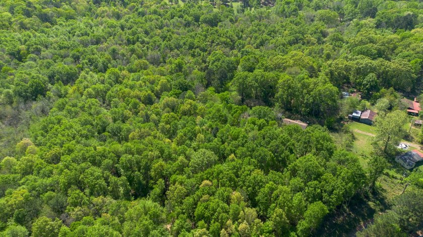 10.07 Acres at Lake O' the Pines | No Restrictions! Looking for - photo 5