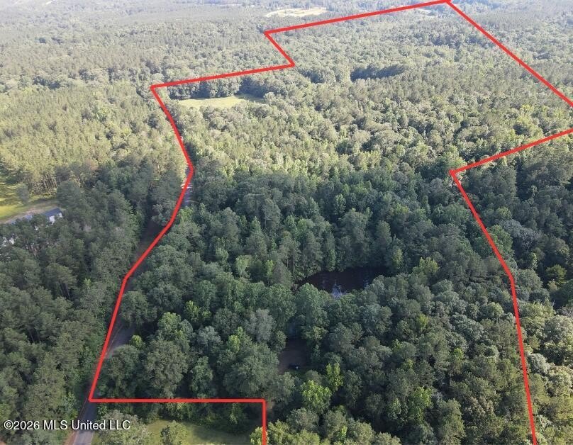 73.6+/- Acres on Summers Lane | Brookhaven, Mississippi Welcome - photo 2