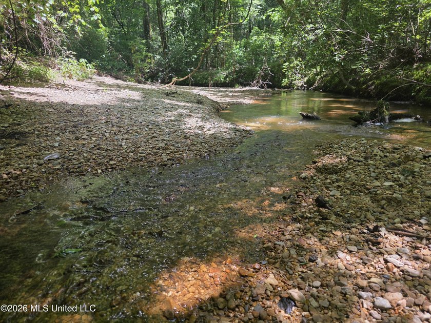 73.6+/- Acres on Summers Lane | Brookhaven, Mississippi Welcome - photo 6